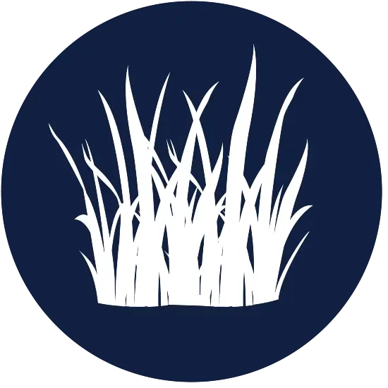 Lawn care services by Sorko Lawn and Pest Control in Central Florida