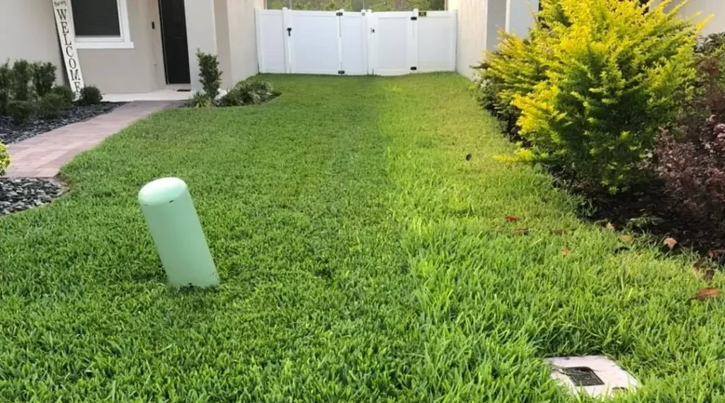 Quality lawn and shurb care by Sorko Lawn and Pest Control in Central Florida