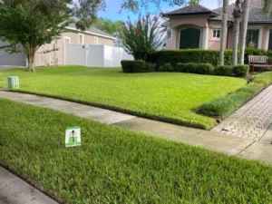 Freshly trimmed residential lawn after receiving lawn care service by Sorko Lawn and Pest Control in Central Florida
