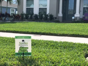 Freshly mowed lawn after receiving lawn care service by Sorko Lawn and Pest Control in Central Florida