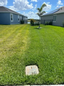 Two residential lawns side by side, where only one has received lawn care services by Sorko Lawn and Pest Control in Central Florida