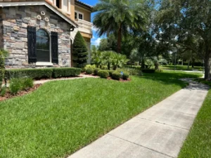 Healthy residential lawn that has received lawn care service by Sorko Lawn and Pest Control in Central Florida