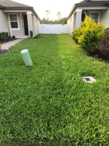 Two residential lawns side by side, where only one has received lawn care services by Sorko Lawn and Pest Control in Central Florida