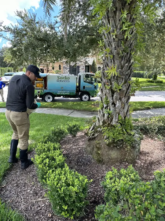 Sorko Lawn and Pest Control shrub care expert at work outside Florida home