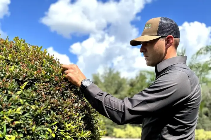 Sorko Services crew member inspecting shrubs in Central Florida