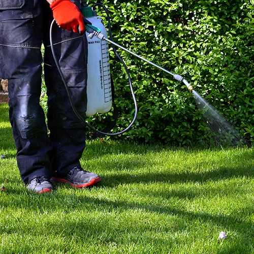 Lawn Weed Spray from Sorko in Central Florida
