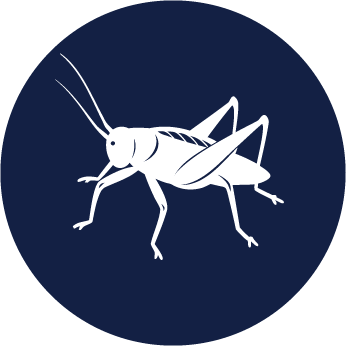 icon representing cricket control service by Sorko