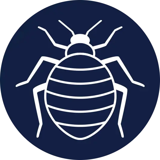 bed bug control graphic in Florida | Sorko Services