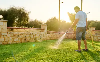 man waters his lawn early in the morning, the best time to irrigate
