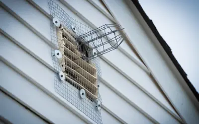 one way wire mesh tunnel for exclusion lets squirrels and rodents leave but not return