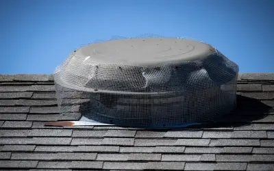 wire mesh exclusion cap to prevent rodents and wildlife access to home