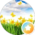 Kim S. Avatar
